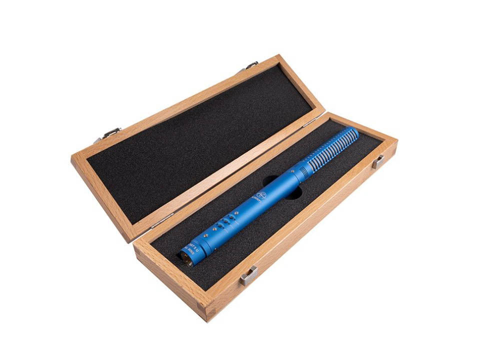 CMIT 5 - Directional Microphone