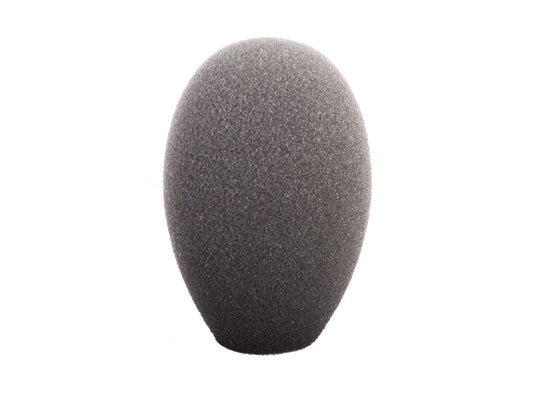 B 5 - Foam Windscreen
