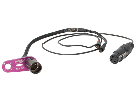 SKA-XLL - Double-MS Adapter Cable for Schoeps CCM to XLR-7M
