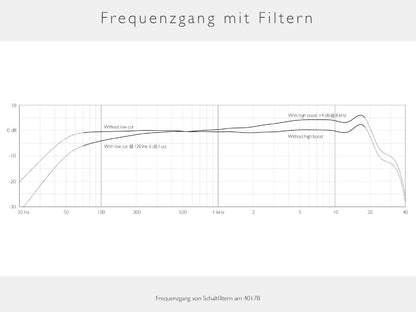 DPA 4017B - Richtrohrmikrofon