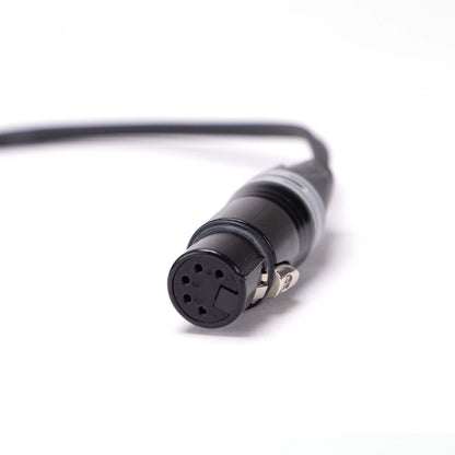 Y-Kabel XLR-5F auf 2x Low Profile XLR-3M