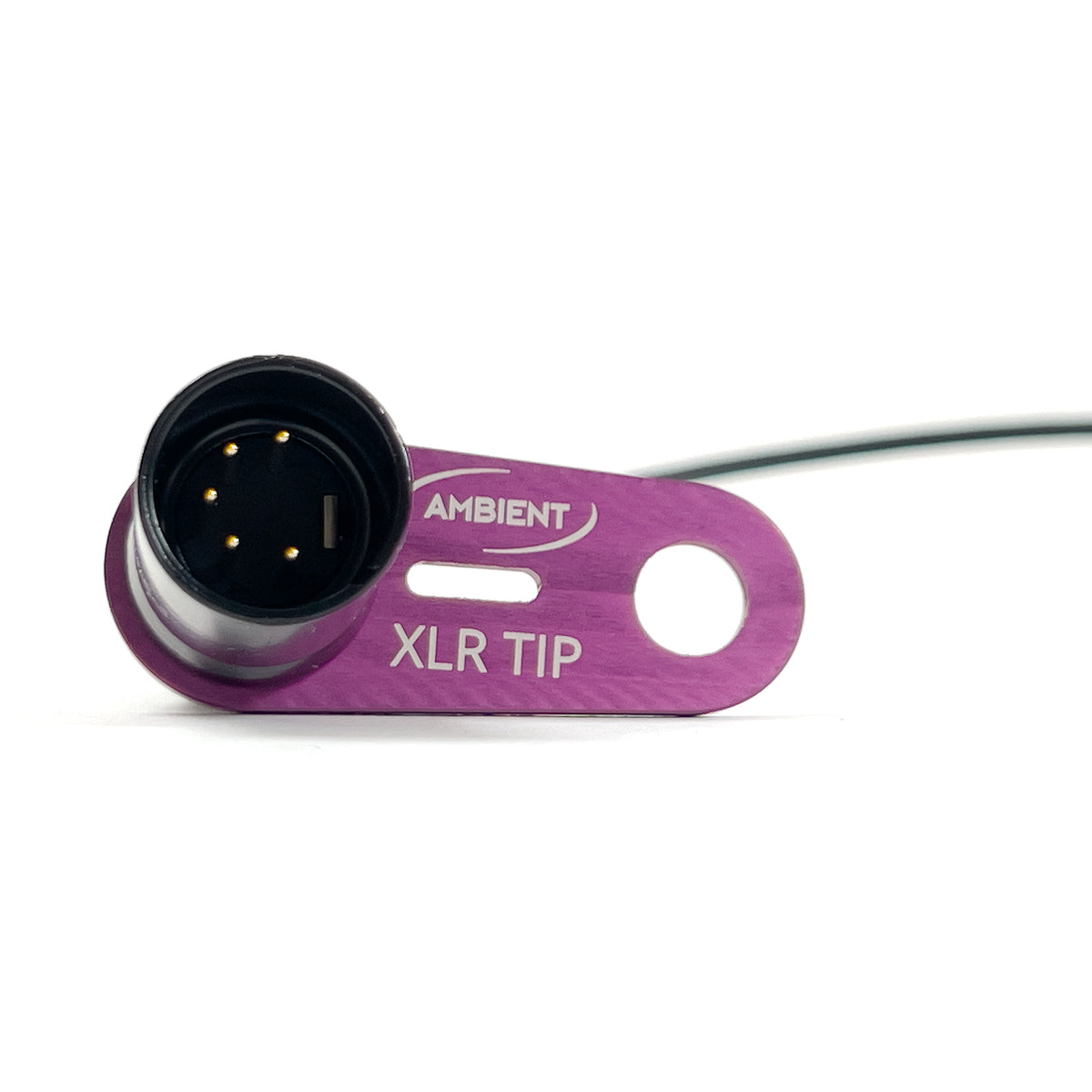 XLR-5-Stecker im XLR-Halter QAT-ECO, Nahaufnahme