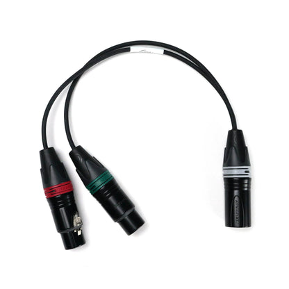 2x XLR-3F / XLR-5M - Stereo Adapter Cable - Perivox® Y-Cable (SKA-D)