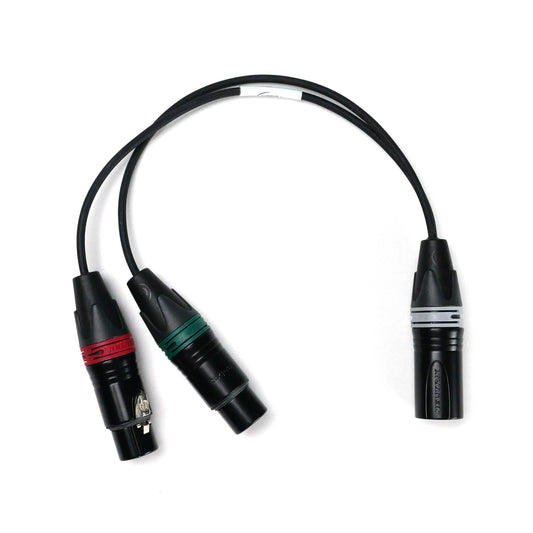 2x XLR-3F / XLR-5M - Stereo Adapter Cable - Perivox® Y-Cable (SKA-D)