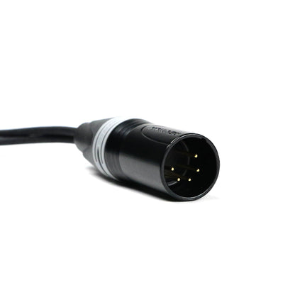2x XLR-3F / XLR-5M - Stereo Adapter Cable - Perivox® Y-Cable (SKA-D)