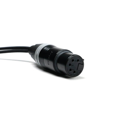 XLR-5F / 2x XLR-3M - Stereo Adapter Cable - Perivox® Y-Cable (SKA)