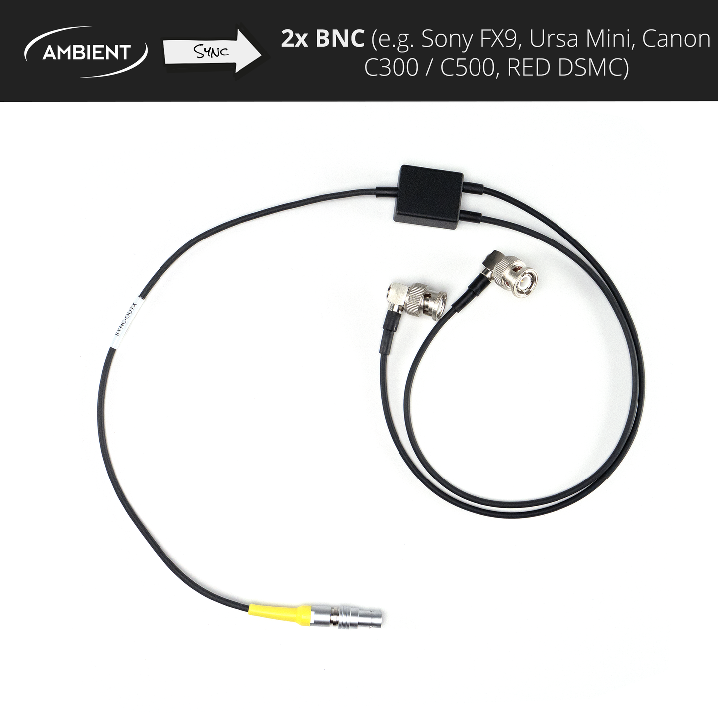 SYNC-OUTX2 - Sync (Genlock/Wordclock) Kabel PushPull-5-Pol (Lemo-kompatibel) auf 2x BNC