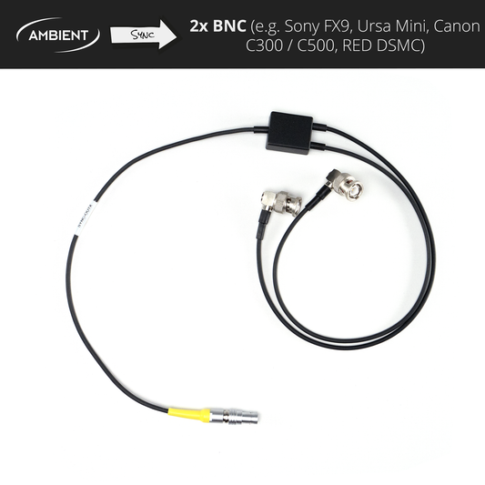 SYNC-OUTX2 - Sync (Genlock/Wordclock) Kabel PushPull-5-Pol (Lemo-kompatibel) auf 2x BNC