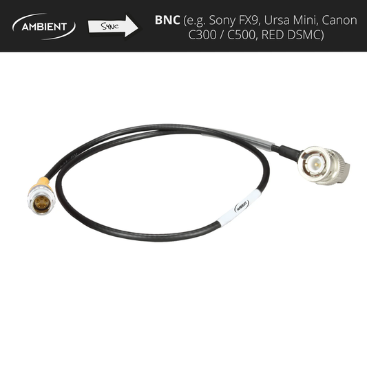 SYNC-OUT - Sync (Genlock/Wordclock) Kabel PushPull-5-Pol (Lemo-kompatibel) auf BNC